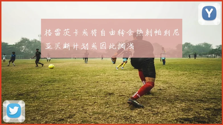 格雷茨卡或将自由转会热刺帕利尼亚买断计划或因此搁浅